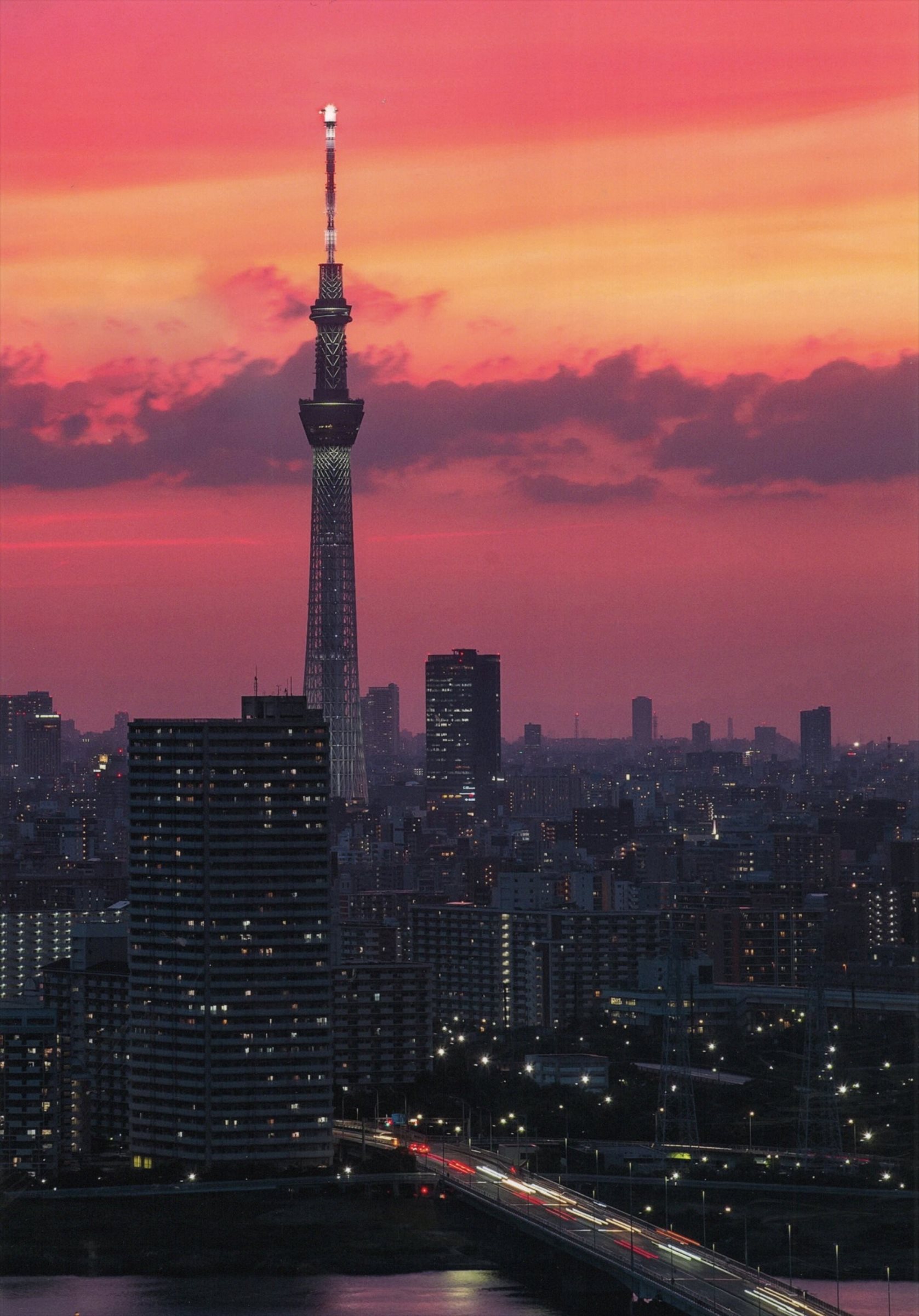 入賞写真