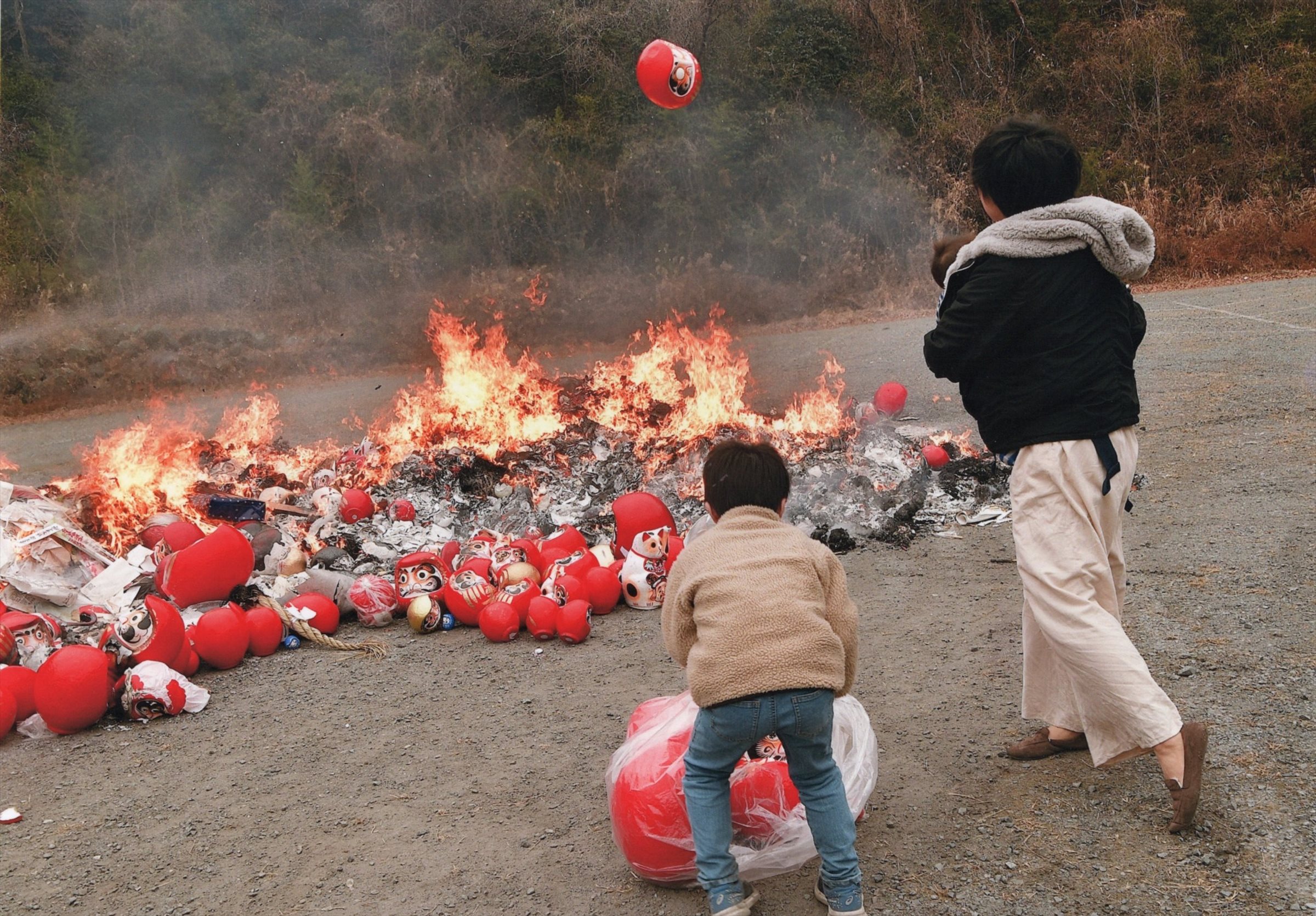 入賞写真